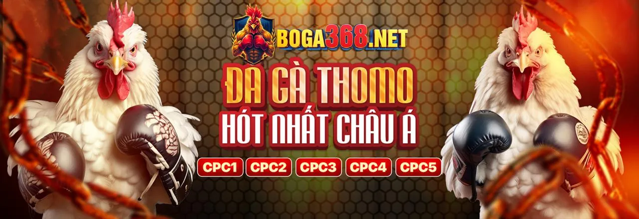Hình ảnh hỗ trợ khách hàng và câu hỏi thường gặp